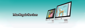 Mac repair service